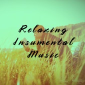 Relaxing Insumental Music (Acoustic Guitar and Piano) artwork
