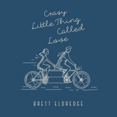 Crazy Little Thing Called Love - Single