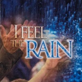 I Feel the Rain (Live) artwork