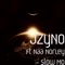 Slow Mo (feat. Naa Norley) - JZyNO lyrics