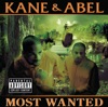 Kane & Abel - Shake It Like A Dog