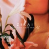 Zikai - You Can Call Me Al