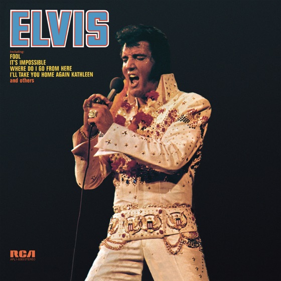 Cover artwork for I Will Be True
