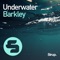 Underwater artwork