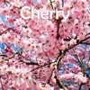 Cherry - Single