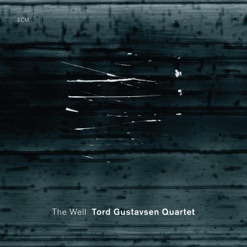 THE WELL cover art