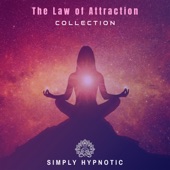 The Law of Attraction artwork