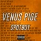 Venus Pige artwork