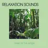 Sleep By the Jungle album lyrics, reviews, download