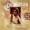 Waylon Jennings - Luckenbach, Texas (Back to the Basics of Love)