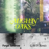 Forget Tomorrow (LAVIV Remix) artwork