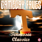 Rocky Top artwork