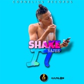 Shake It artwork