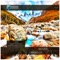 Andes - Katzen lyrics