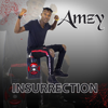 Insurrection - AMZY