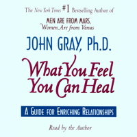 John Gray - What You Feel You Can Heal (Abridged) artwork