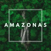 Amazonas artwork