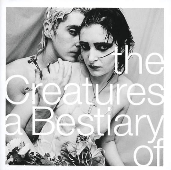 Cover artwork for Gecko
