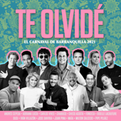 Te Olvidé: el Carnaval de Barranquilla 2021 - カルロス・ビベス, Adriana Lucia, Giselle Lacouture, Felipe Peláez, Chabuco, Andrés Cepeda, Màia, Iván Villazón, Checo Acosta, Juan Piña, Fonseca & Gusi