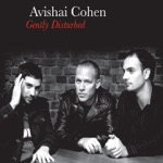 Avishai Cohen - Seattle