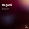 Regard - Bush lyrics