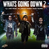 CJ Joe - What's Going Down? (feat. M1 Dead Prez & Ras Tariq)
