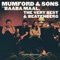 Fool You've Landed - Mumford & Sons, The Very Best & Beatenberg lyrics