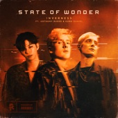 State of Wonder artwork