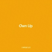 Own Up artwork