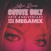 Coyote Ugly (Dave Audé Megamix) artwork