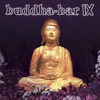 Buddha Bar IX