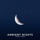 Ambient Nights artwork