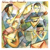 Galway Choro Ensemble - EP artwork