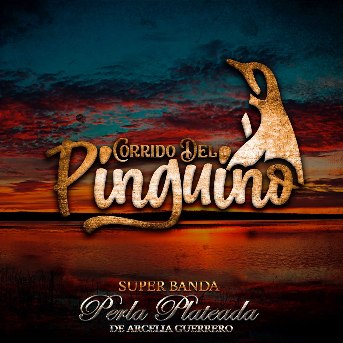 Corrido del Pingüino - Single by Super Banda Perla Plateada on Apple Music