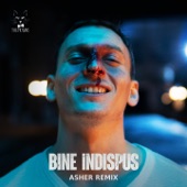 Bine Indispus (Asher Remix) artwork