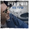 שירי פח - Single