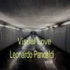 Visual Love album lyrics, reviews, download