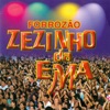 Forrozão Zezinho da Ema (Ao Vivo)