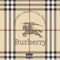 Burberry - 4100 Rio lyrics