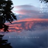 Celestial Scenery: Breezing Universe, Vol. 6, 2011