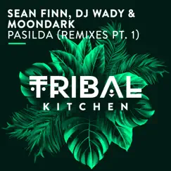Pasilda (Remixes, Pt. 1) - Single by Sean Finn, DJ Wady & MoonDark album reviews, ratings, credits