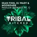 Pasilda (Sean Finn Sundown Remix) song reviews