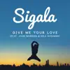 Give Me Your Love (feat. John Newman & Nile Rodgers) [Remixes] - EP album lyrics, reviews, download