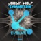 Symmetrik - Jordy Wolf lyrics