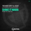 Shake It Mama - Single