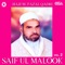 Saif Ul Malook, Pt. 2 - Haji M. Fazal Qadri lyrics
