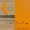 What You Need - Single album lyrics, reviews, download