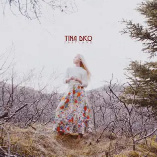 baixar álbum Tina Dico - Fastland