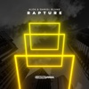 Alok & Sevenn - Rapture