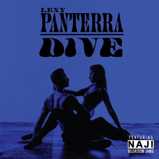 Cover artwork for Dive (feat. Naji)
